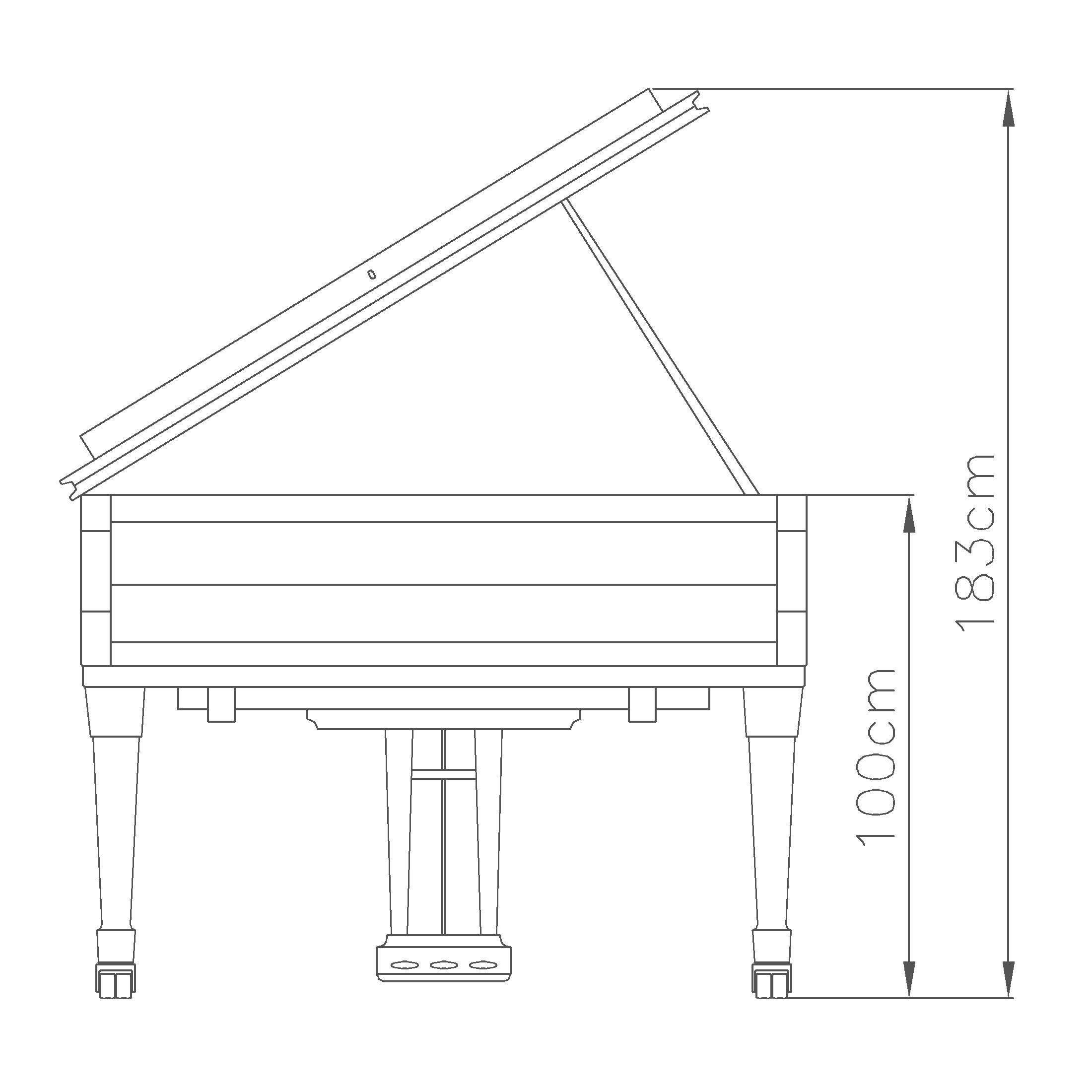 Fazioli Pianoforti