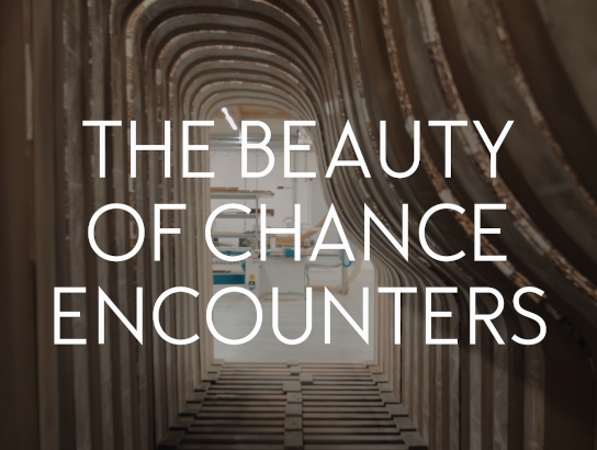 The Beauty of Chance Encounters