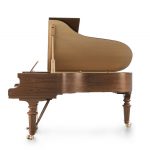 Fazioli | Walnut Strauss