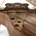 Fazioli | Walnut Strauss