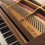 Fazioli | Walnut Strauss