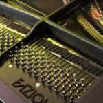 Fazioli | First Light